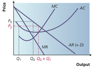 Second-degree price discrimination diagram showing different prices for different blocks of output