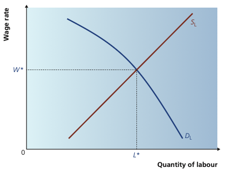 Equilibrium wage and employment where labour demand meets labour supply.