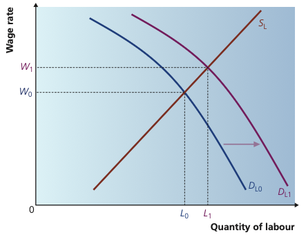 Rightward shift of labour demand raising wage and employment.