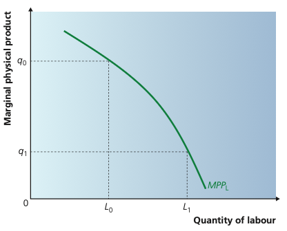 Downward-sloping MPPL curve.