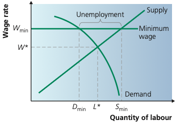 Minimum wage above equilibrium creating unemployment.