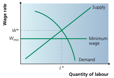 Minimum wage with little effect on employment.