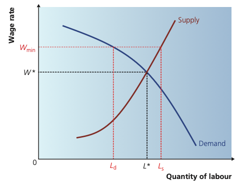 Labour market diagram showing a minimum wage above equilibrium, creating excess supply of labour