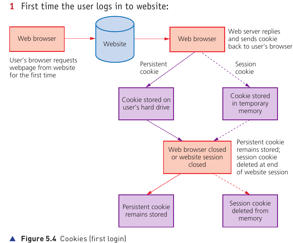 Course-book Figure 5.4 showing cookies on a first login