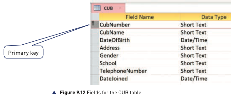 Figure 9.12 fields for the CUB table showing the primary key