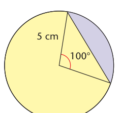 Minor circular segment marked inside a circle